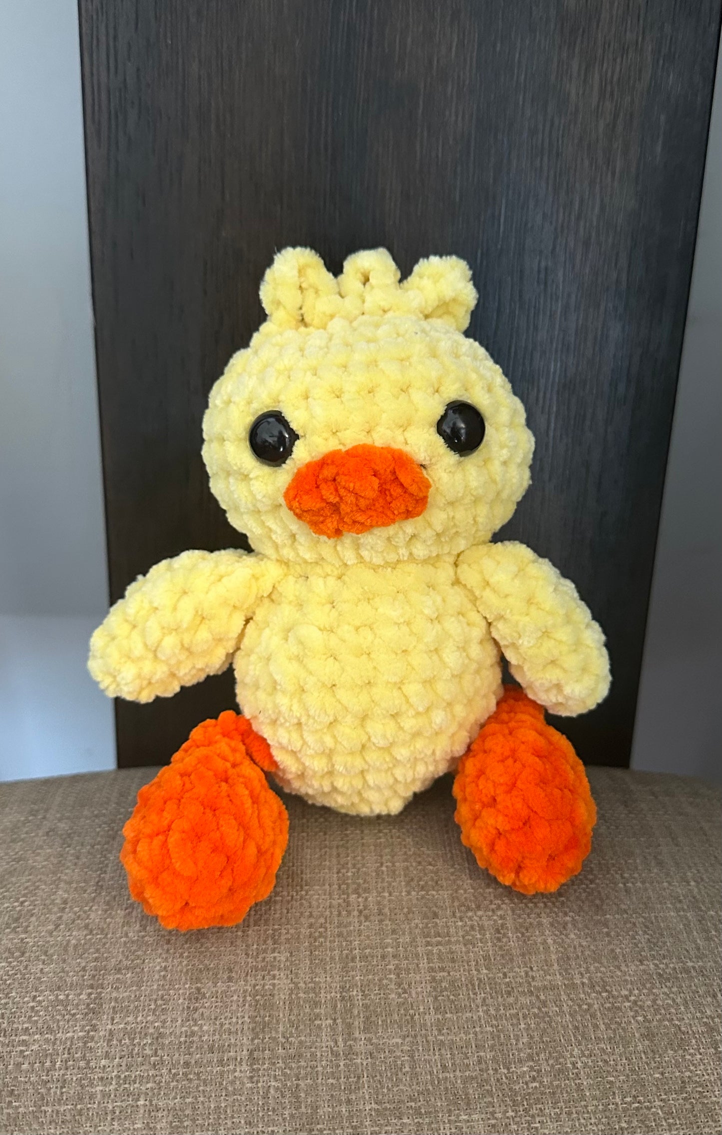 Duck