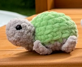 Teeny Turtles