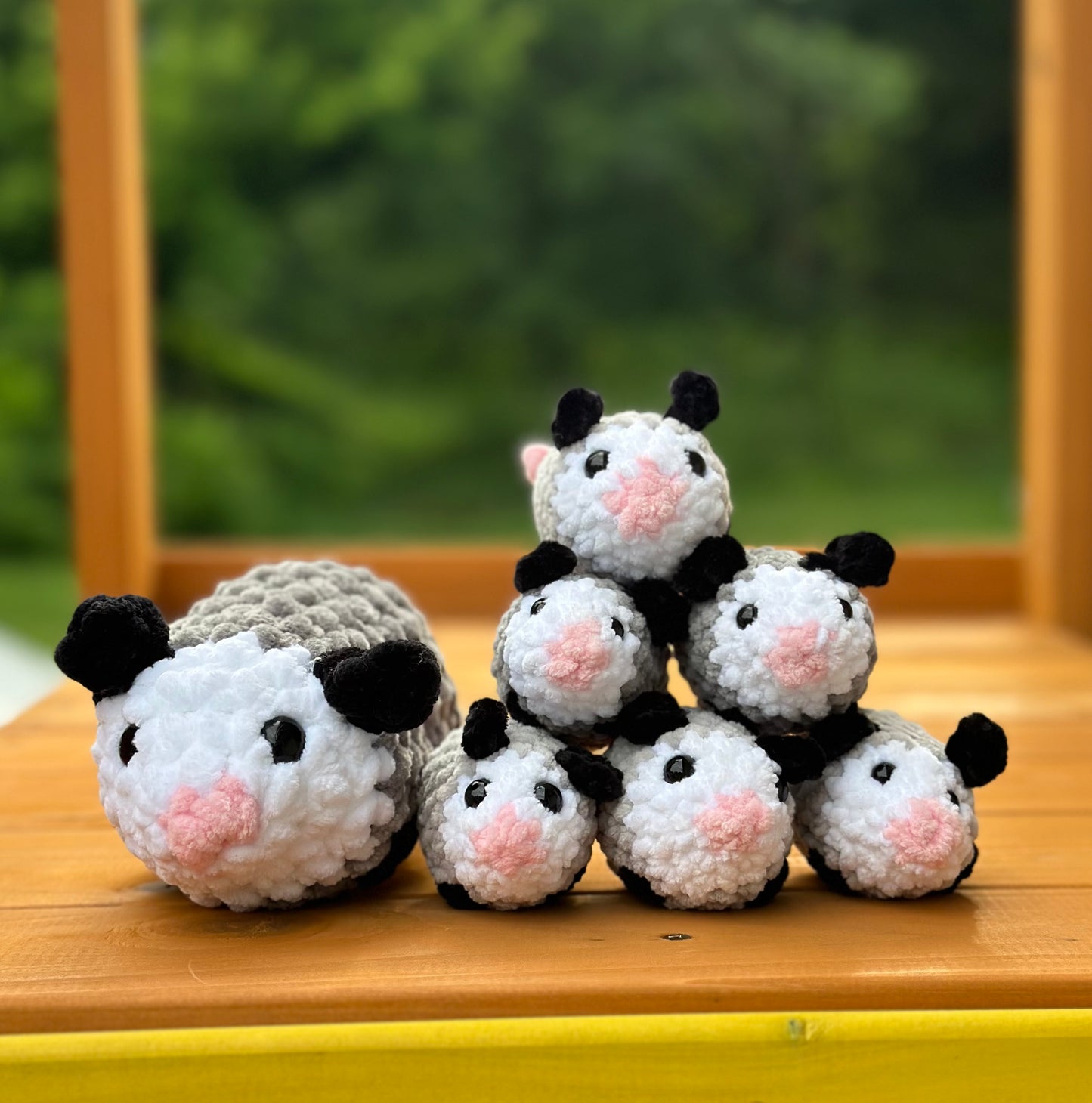 Possum Family
