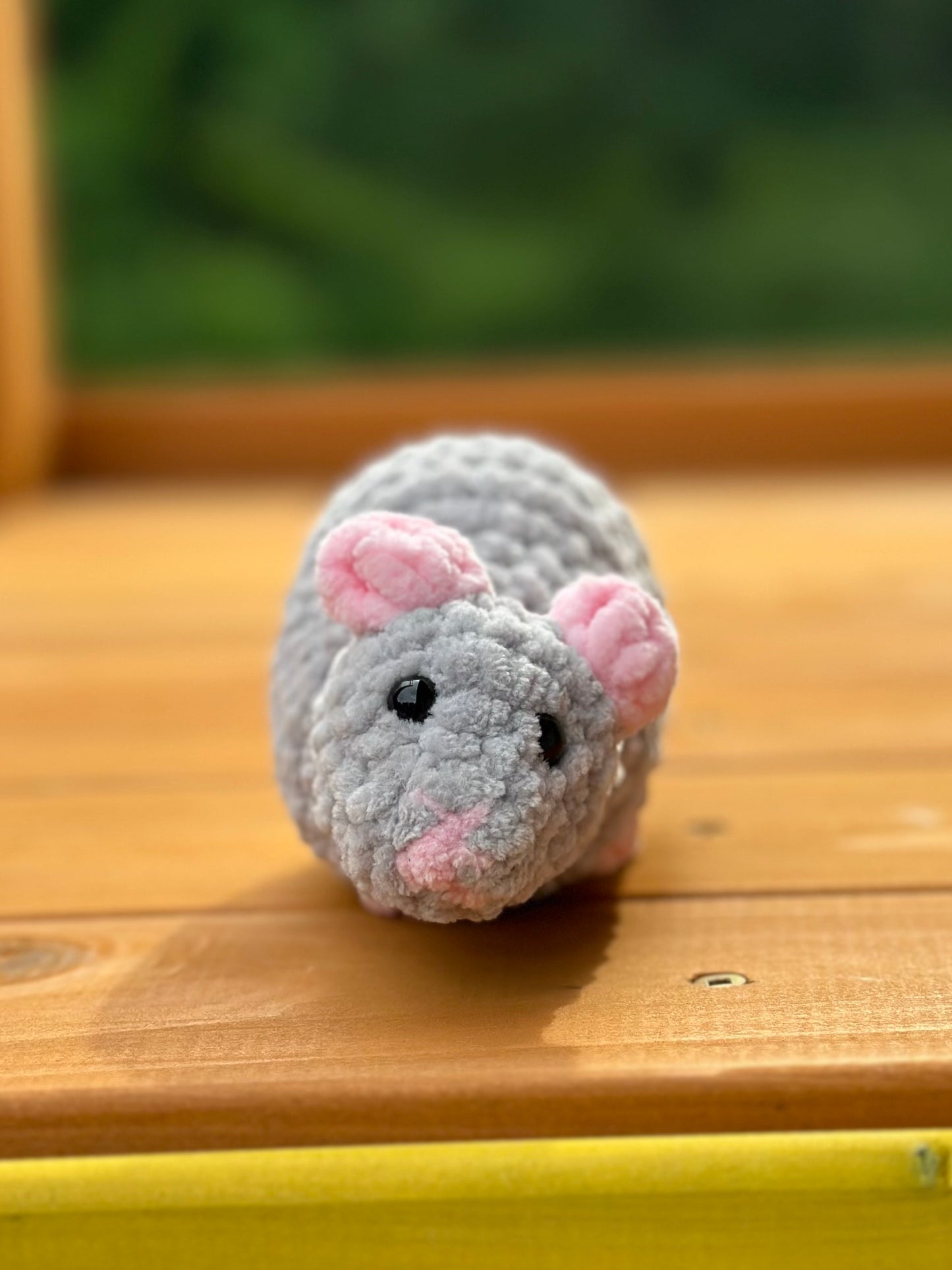 Rat
