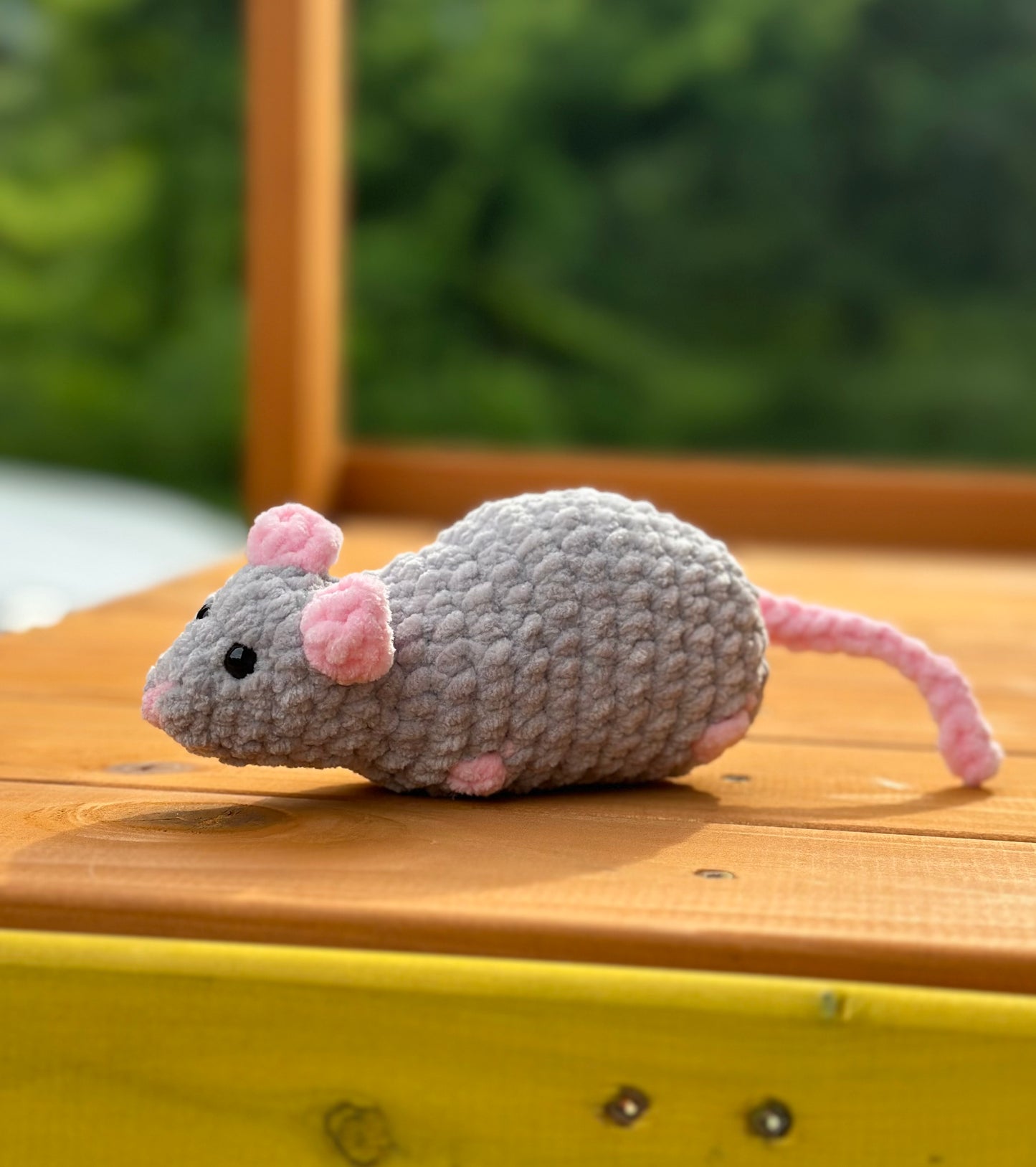 Rat